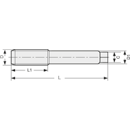 Machine tap HSS-E DIN376B (UNI) M12 through-hole (universal) TiN
